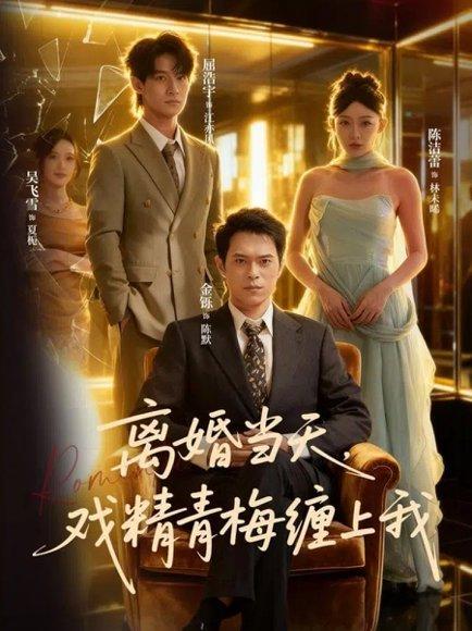 《离婚当天戏精青梅缠上我(79集)陈洁蕾&金铄》短剧封面