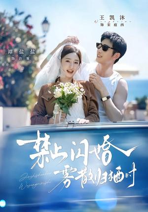 《禁止闪婚,雾散归栖时(66集)王凯沐&谭盐盐(1080P)(夸克网盘)》短剧封面