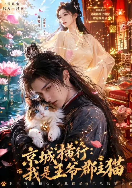 京城横行:我是王爷郡主猫 《京城横行:我是王爷郡主猫》短剧封面