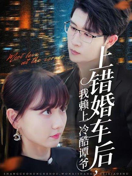 《上错婚车，错娶绝色千金（80集）申芳赫&孙雪阳（百度网盘）》短剧封面