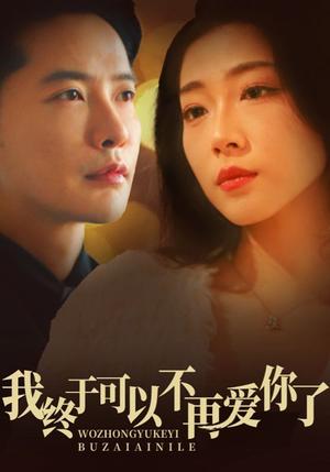 《我终于可以不再爱你(60集)齐惠昭(夸克网盘)》短剧封面