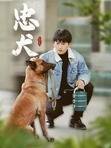 《忠犬(34集)(夸克网盘)》短剧封面