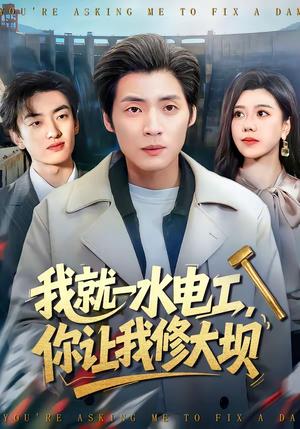《我就一水电工,你让我修大坝(65集)徐浩&陈汶汐(夸克网盘)》短剧封面