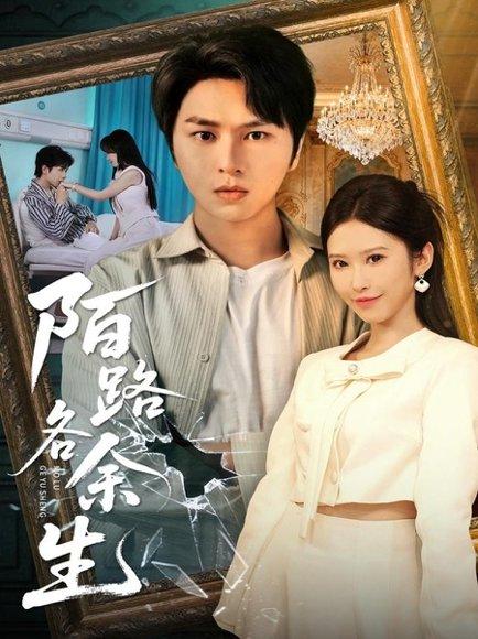 《陌路各余生(65集)张易嵘&秦玺&王珊珊》短剧封面