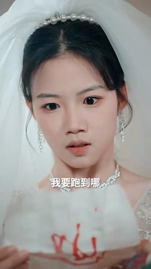 《三个锦囊(70集)叶庭&高洁慧(夸克网盘)》短剧封面