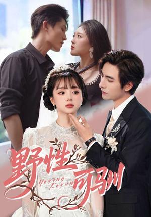 《野性可驯（63集）李豪&蔡淼燕》短剧封面