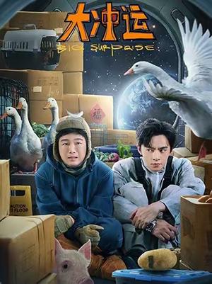 《大冲运(16集)赵佳(夸克网盘)》短剧封面