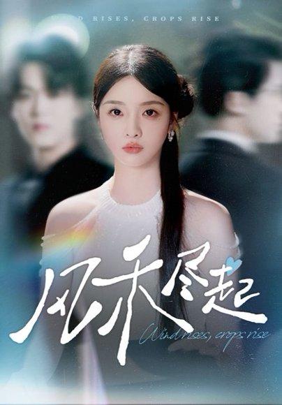 《风禾尽起》短剧封面