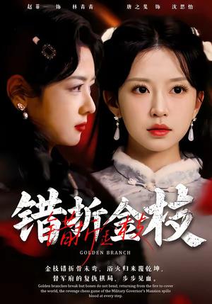 《错折金枝（46集）金泽元＆唐之斐（夸克网盘）》短剧封面