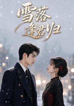 《雪落逢君归(116集)(夸克网盘)》短剧封面