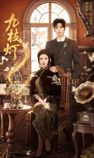 《九枝灯(62集)王奕然&何蓝逗(1080P)(夸克网盘)》短剧封面