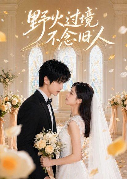 《野火过境不念旧人(60集)(百度网盘)》短剧封面