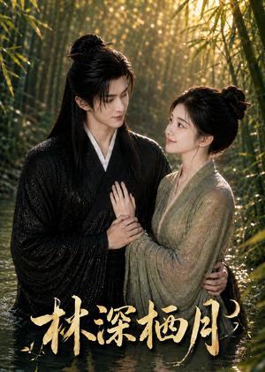 《林深栖月（55集）（夸克网盘）》短剧封面