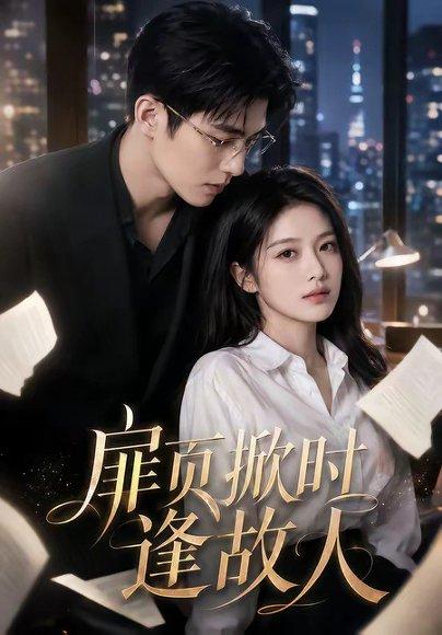 《扉页掀时逢故人(80集)(百度网盘)》短剧封面