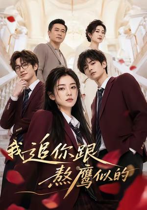 《我追你跟熬鹰似的（95集）（夸克网盘）》短剧封面