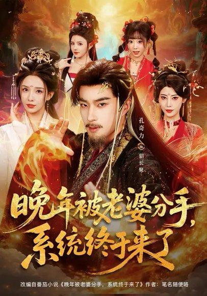 《晚年被老婆分手，系统终于来了（80集）李若希＆孔奇力》短剧封面