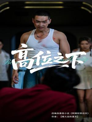 《高位之下(65集)张家嘉&赵龙(夸克网盘)》短剧封面