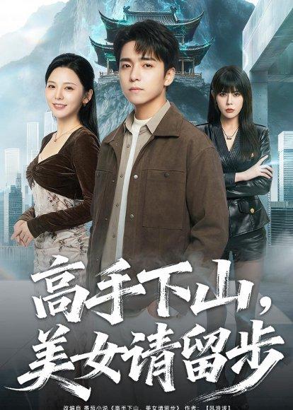 《高手下山,mei女请留步(80集)金大钟&李图图(百度网盘)》短剧封面