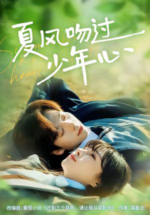 《夏风吻过少年心（76集）张文浩＆顾雨欣（夸克网盘）》短剧封面