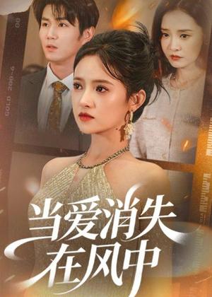 《当爱消失在风中（73集）吴梦媛＆宋骏（夸克网盘）》短剧封面