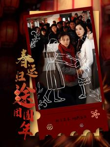 《春运归途团圆年（40集）（夸克网盘）》短剧封面