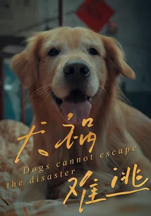 《犬祸难逃（33集）刘丹＆青哥（夸克网盘）》短剧封面