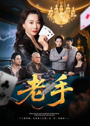 《老手（36集）王圻嘉&袁珉》短剧封面
