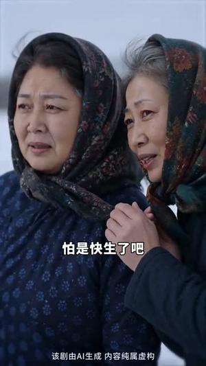 《东北辣媳不好惹（57集）（夸克网盘）》短剧封面