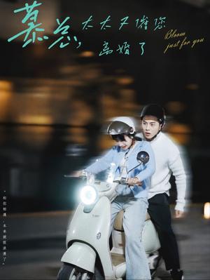 《慕总太太又催您离婚了（80集）李可乐＆象韵洁（夸克网盘）》短剧封面