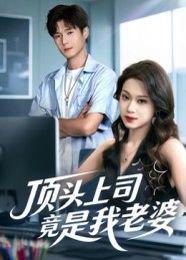 《顶头上司竟是我老婆(51集)韩品杰&任柏玉》短剧封面