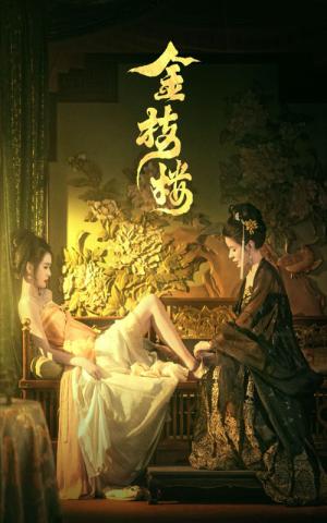 《金枝楼（52集）（夸克网盘）》短剧封面