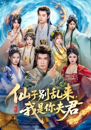 《仙子别乱来,我是你夫君(75集)郑凯义&倪艺菲(夸克网盘)》短剧封面