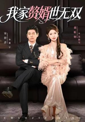 《我家赘婿世无双(73集)宋佳洋&蒋昕妍(夸克网盘)》短剧封面