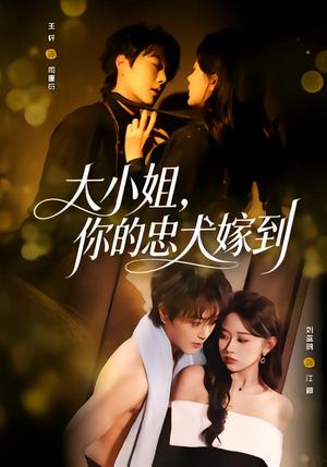 《大小姐,你的忠犬嫁到(80集)王轩&刘蓝鸽(夸克网盘)》短剧封面