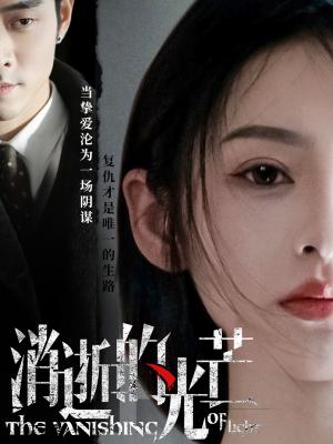 《消逝的光芒（55集）曹天恺＆觅七（夸克网盘）》短剧封面