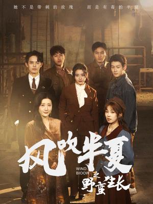 《风吹半夏之野蛮生长(59集)宋暖(夸克网盘)》短剧封面