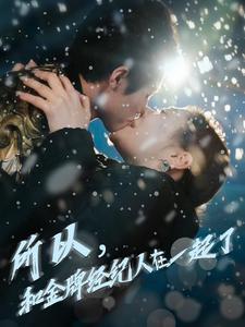 《所以和金牌经纪人在一起了(30集)杨鹏丞&锡日苏伦雅(夸克网盘)》短剧封面