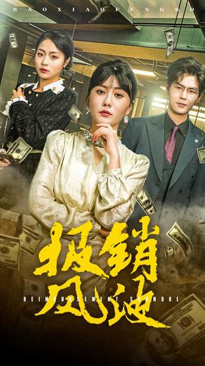 《报销风波（54集）（夸克网盘）》短剧封面