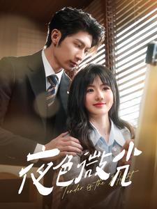 《夜色微光（91集）王子林＆田甜一（夸克网盘）》短剧封面