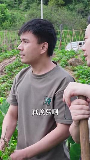 《最强县令从攻略女帝开始（75集）穿越剧（夸克网盘）》短剧封面