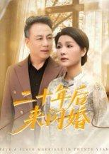 二十年后来闪婚 《二十年后来闪婚》短剧封面
