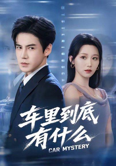 《车里到底有什么（51集）李子锋＆林千仟（百度网盘）》短剧封面