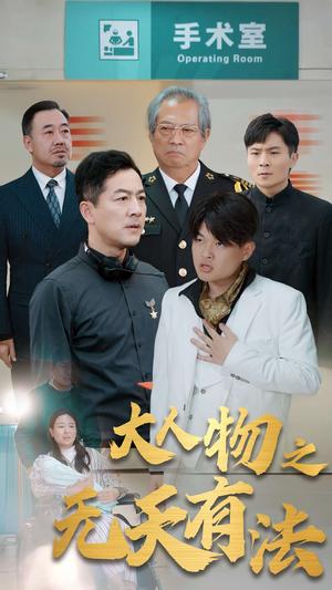 《.新大人物之无天有法（35集）（夸克网盘）》短剧封面