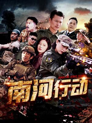 《南河行动（51集）（夸克网盘）》短剧封面