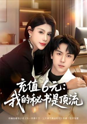 《充值6元:我的秘书是顶流(80集)牛一凡&杨泽琳(夸克网盘)》短剧封面