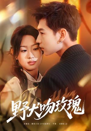 《野犬吻玫瑰（70集）王继冉＆孙园静（夸克网盘）》短剧封面