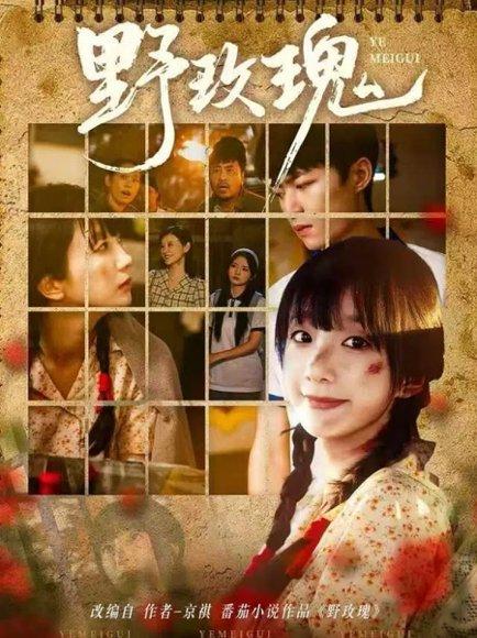 《野玫瑰》短剧封面