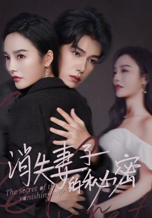 《消失妻子的秘密（60集）李胜楠（夸克网盘）》短剧封面