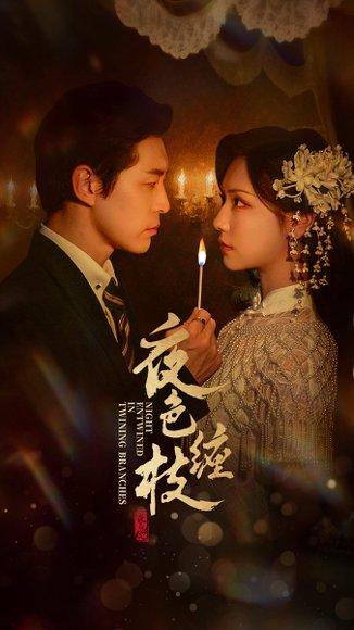 夜色缠枝 《夜色缠枝》短剧封面