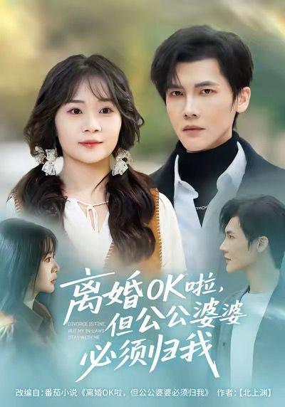 《离婚OK啦，但公公婆婆必须归我（81集）》短剧封面